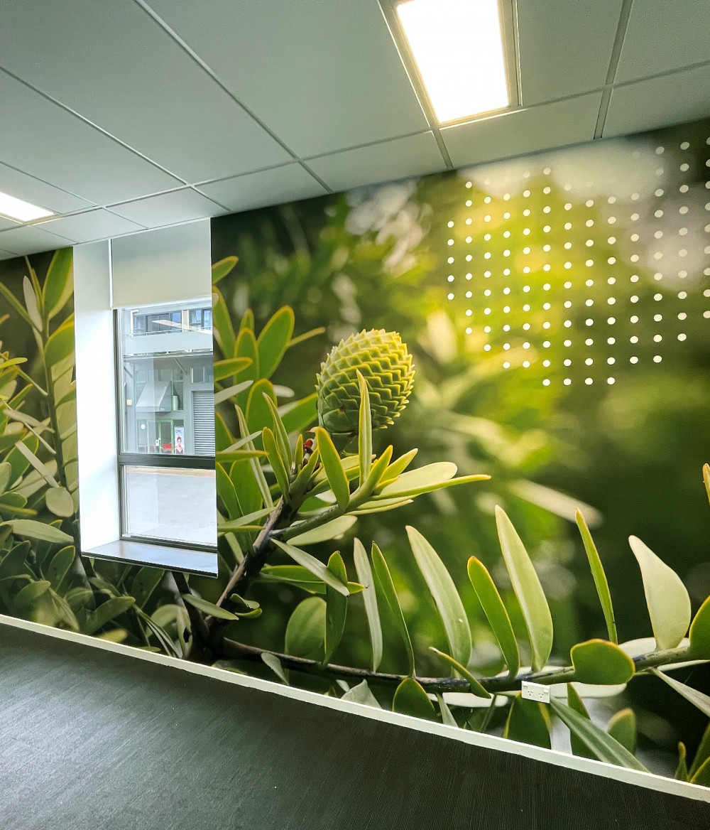 branding canopy healthcare wall graphic