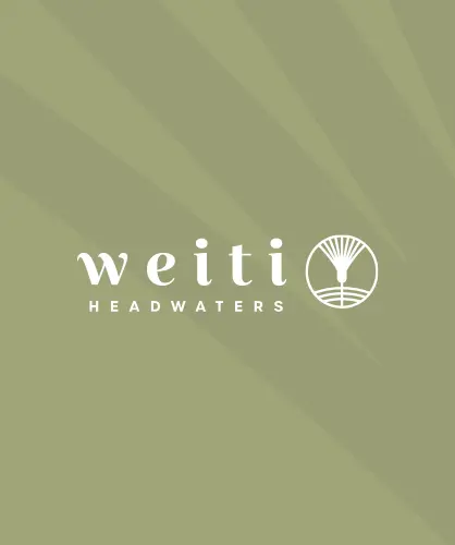 logo brand design weiti headwaters