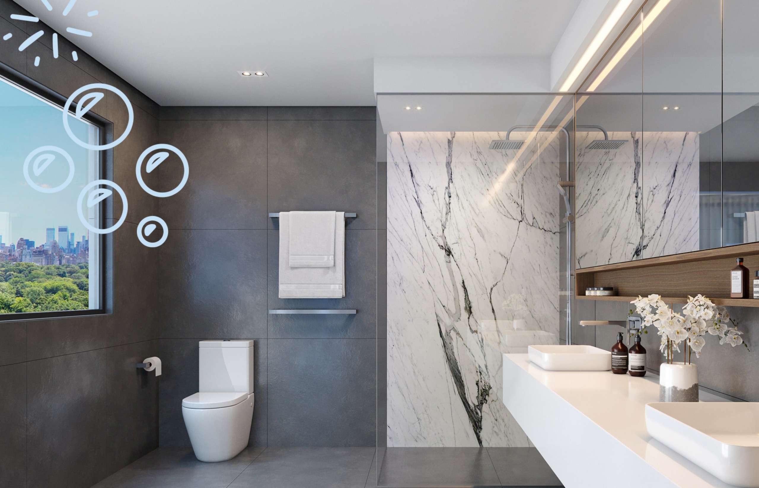 raymor website graphic