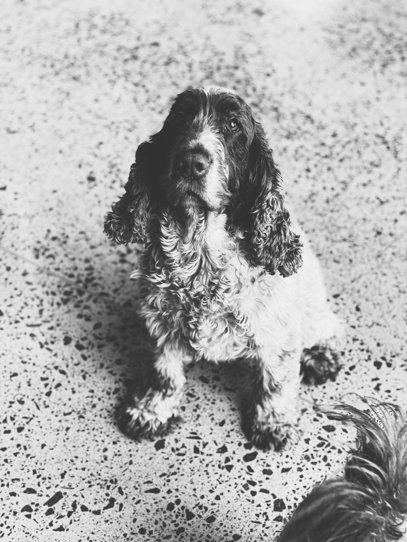 04F56B6B 5D07 4832 8F1A A6BDC70A4E5D