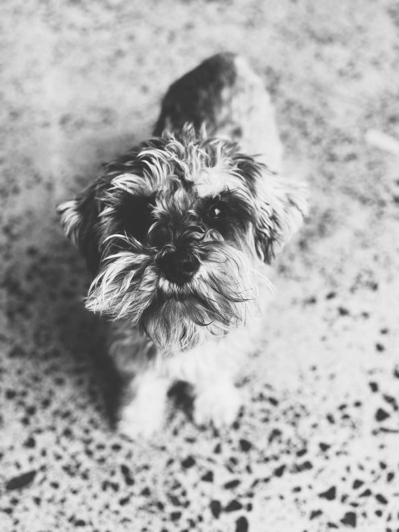 2E9A018C 7E49 4A30 915F 7ED7226EE041