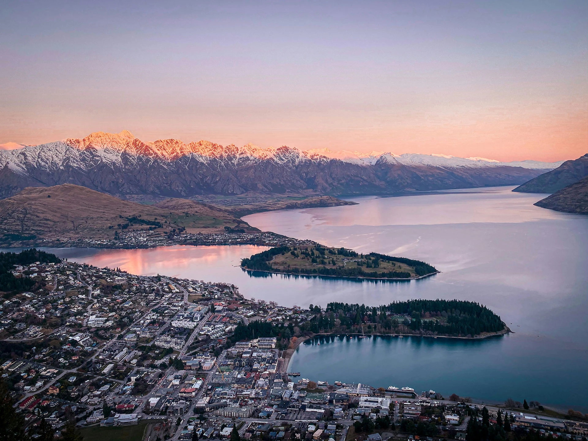 queenstown web development
